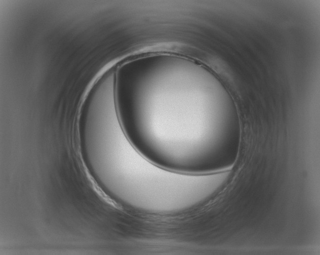 X0000081390792200701111205