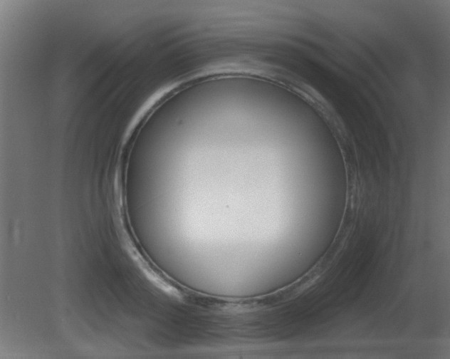 X0000081390796200701111205