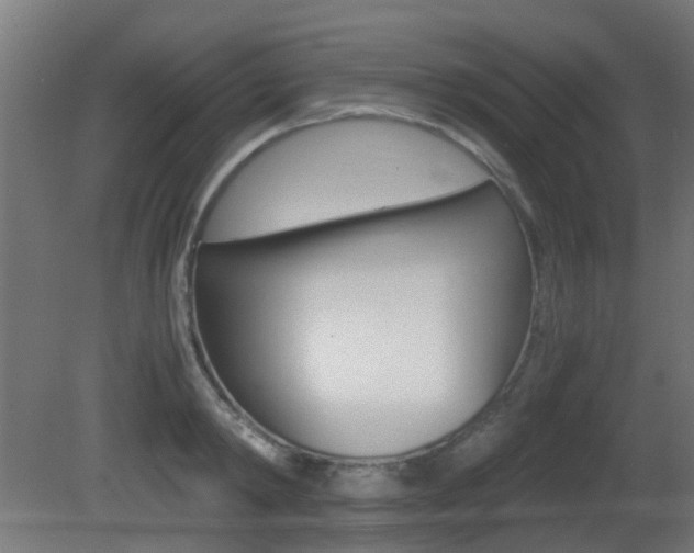 X0000081390798200701111205