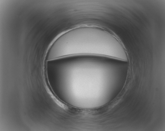 X0000081390803200701111205
