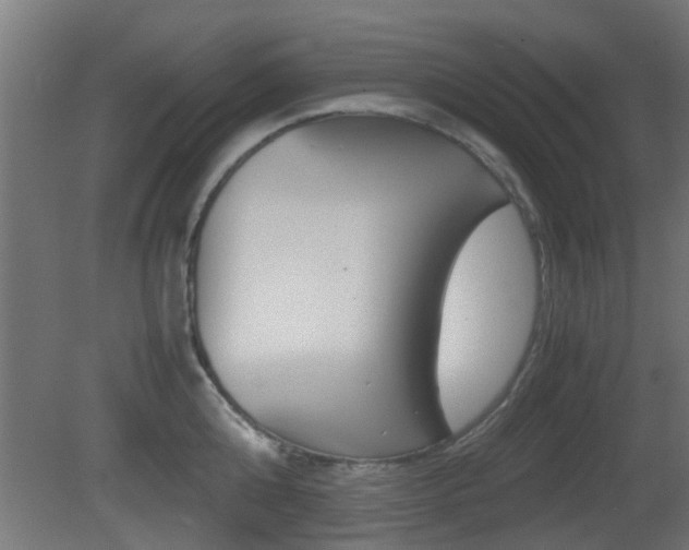 X0000081390808200701111205