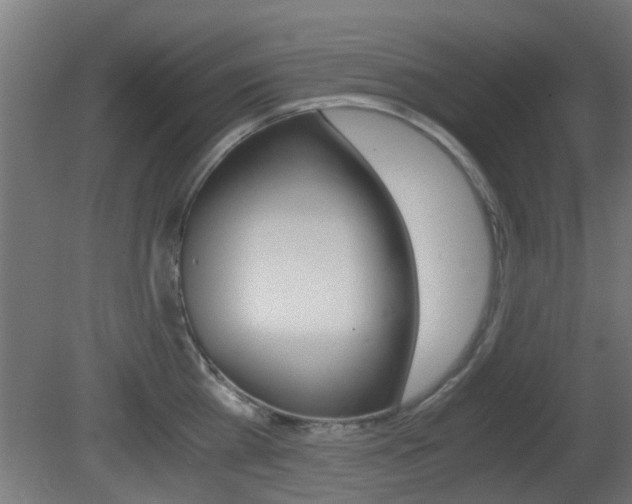 X0000081390809200701111205