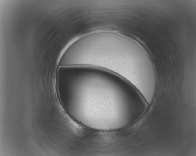 X0000081390812200701111205