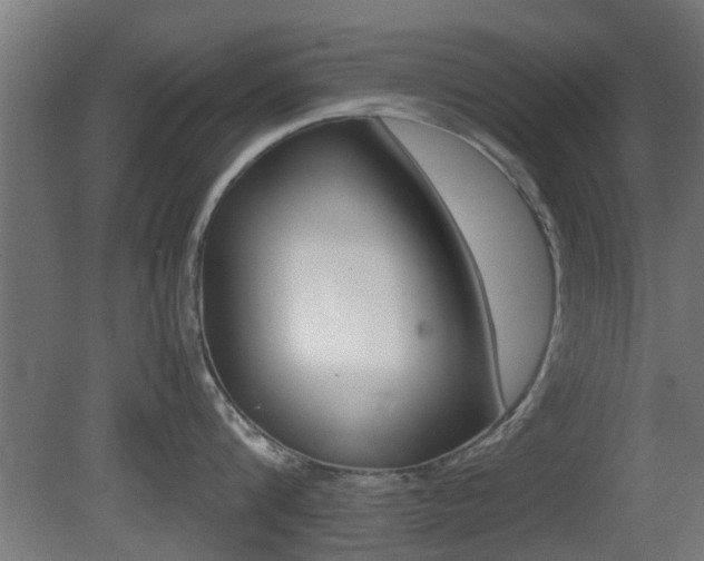 X0000081390816200701111205