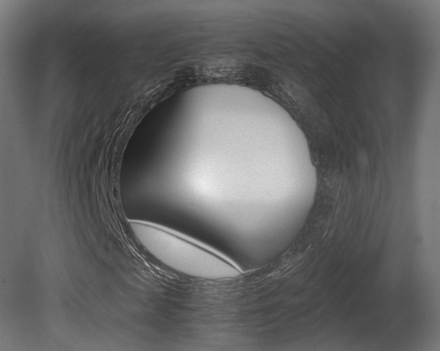X0000081390817200701111204