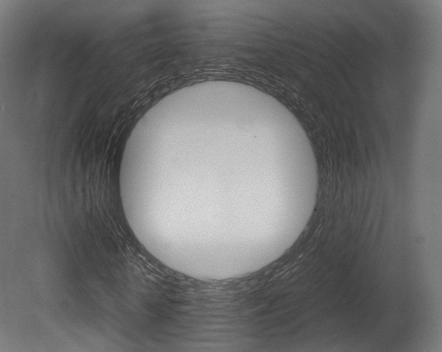 X0000081390818200701111204