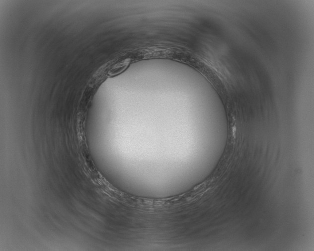 X0000081390819200701111204
