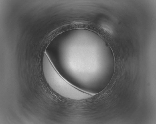 X0000081390821200701111204