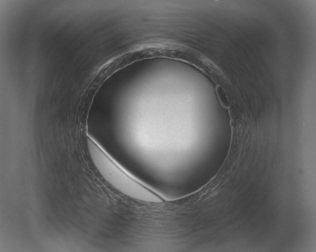X0000081390822200701111204