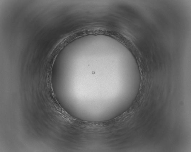 X0000081390823200701111204