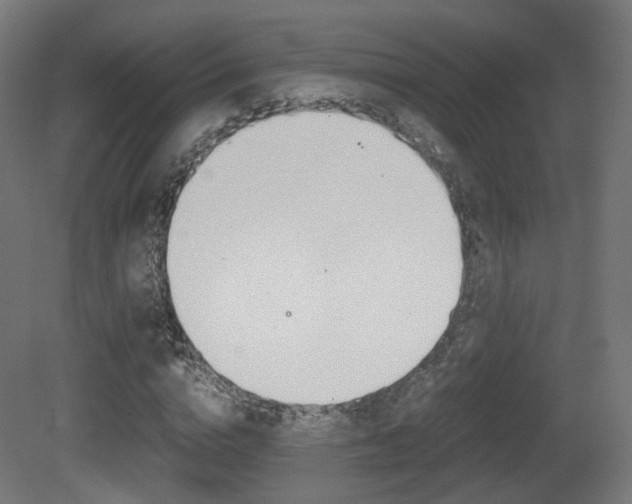 X0000081390824200701111204