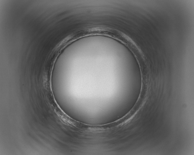 X0000081390825200701111204
