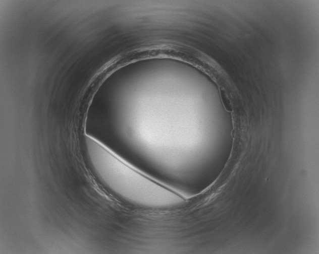X0000081390826200701111204