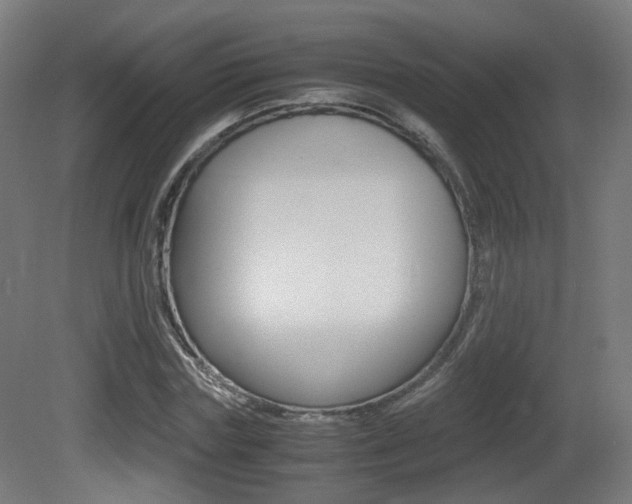 X0000081390827200701111204