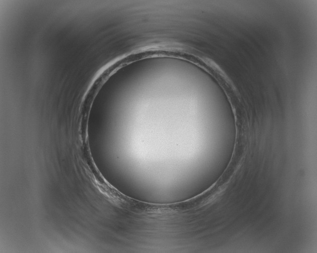 X0000081390830200701111204