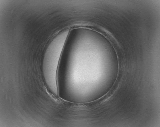 X0000081390833200701111204