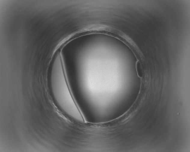 X0000081390834200701111204