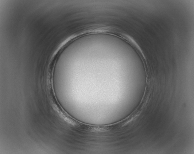 X0000081390835200701111204
