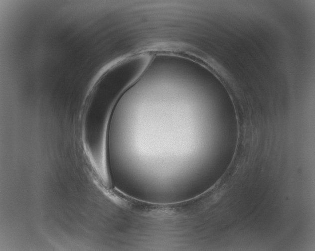 X0000081390838200701111204