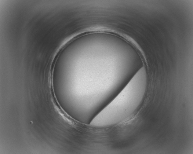 X0000081390839200701111204