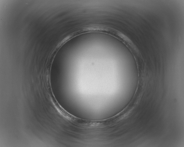 X0000081390841200701111205