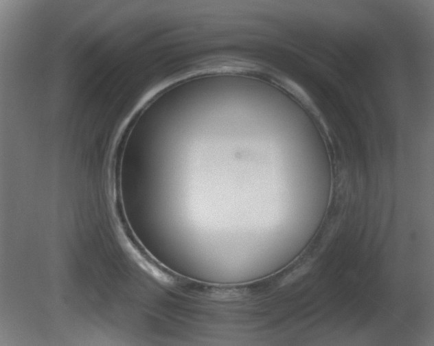 X0000081390843200701111205