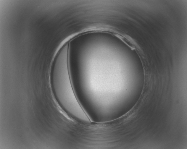 X0000081390846200701111205