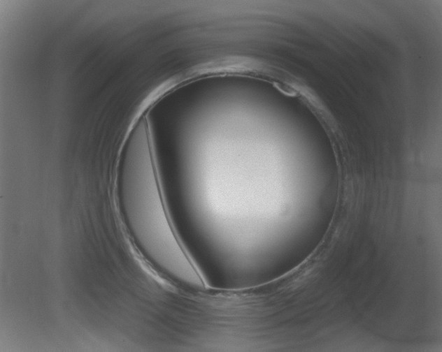 X0000081390850200701111205