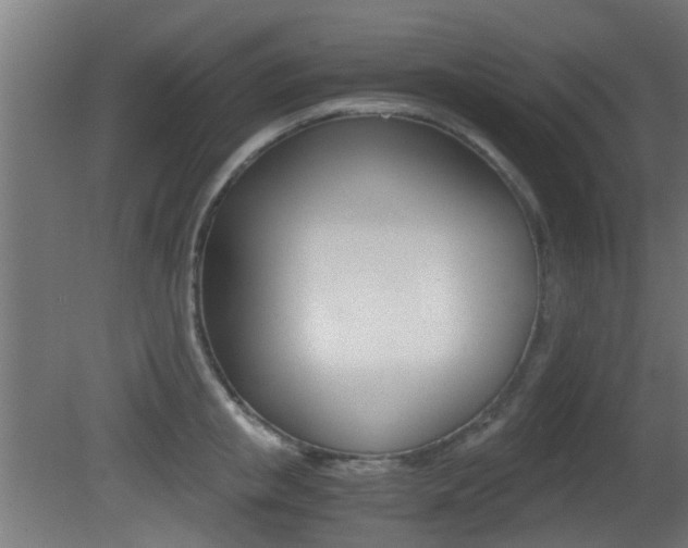 X0000081390853200701111205