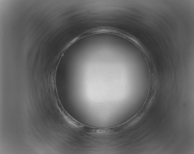 X0000081390857200701111205
