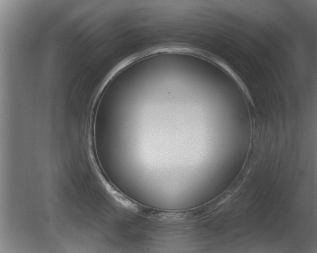 X0000081390861200701111205