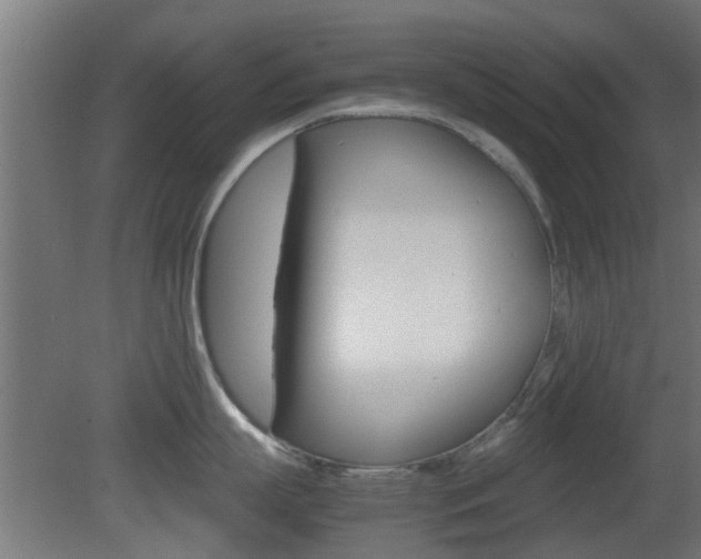 X0000081390863200701111205