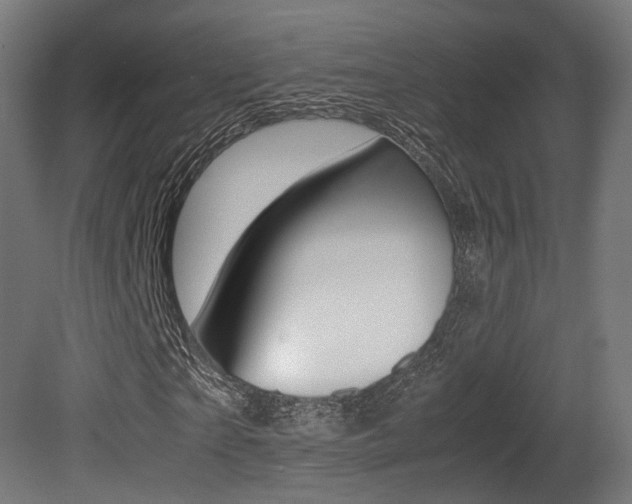 X0000081390865200701111204