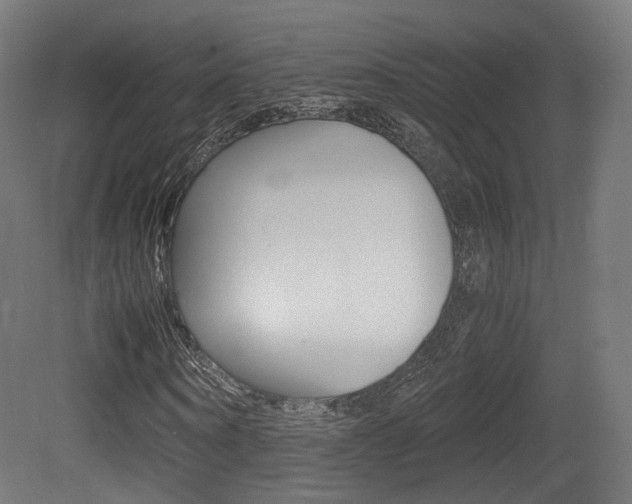 X0000081390866200701111204