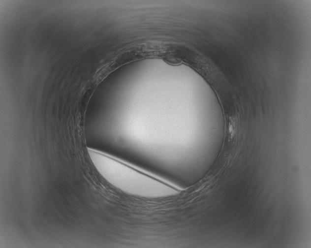 X0000081390867200701111204