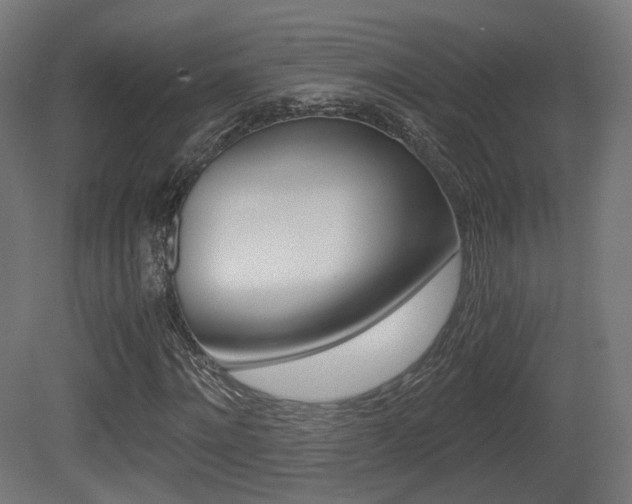 X0000081390868200701111204