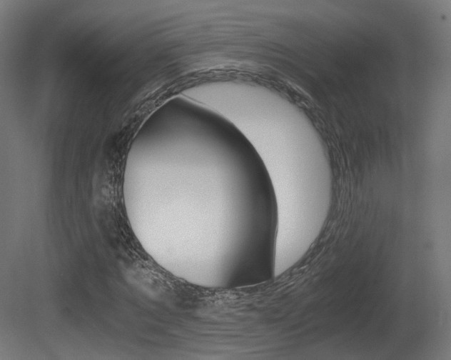 X0000081390869200701111204