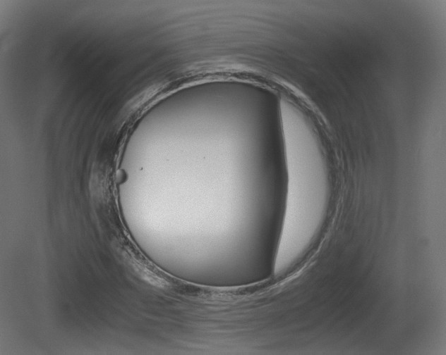 X0000081390873200701111204