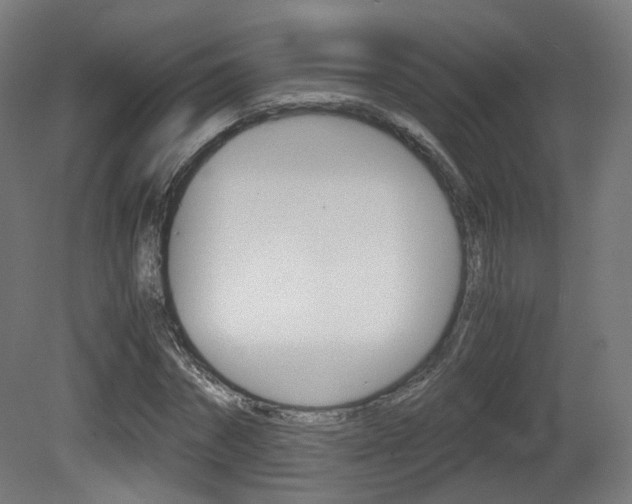 X0000081390874200701111204