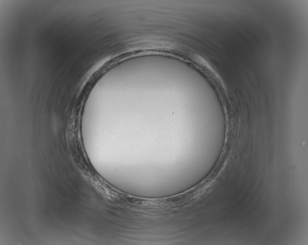 X0000081390875200701111204