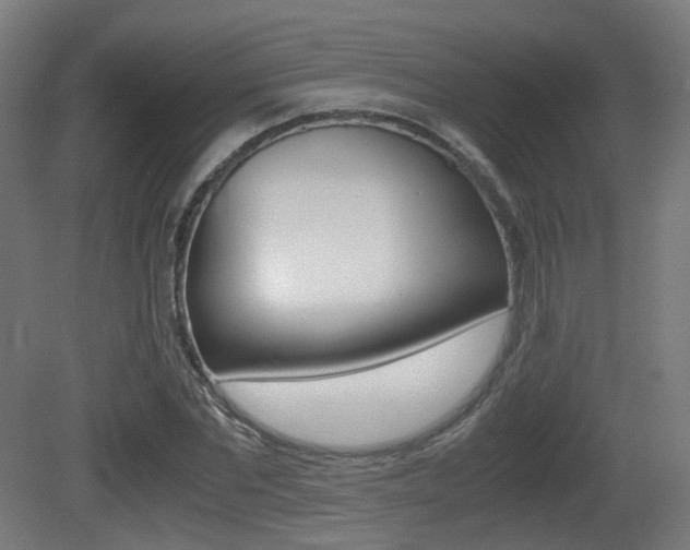 X0000081390877200701111204