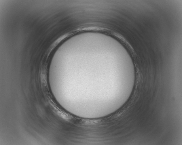 X0000081390882200701111204