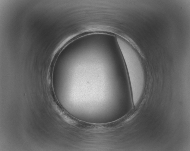 X0000081390885200701111204