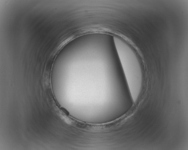 X0000081390889200701111204