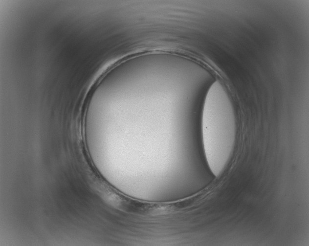 X0000081390891200701111204