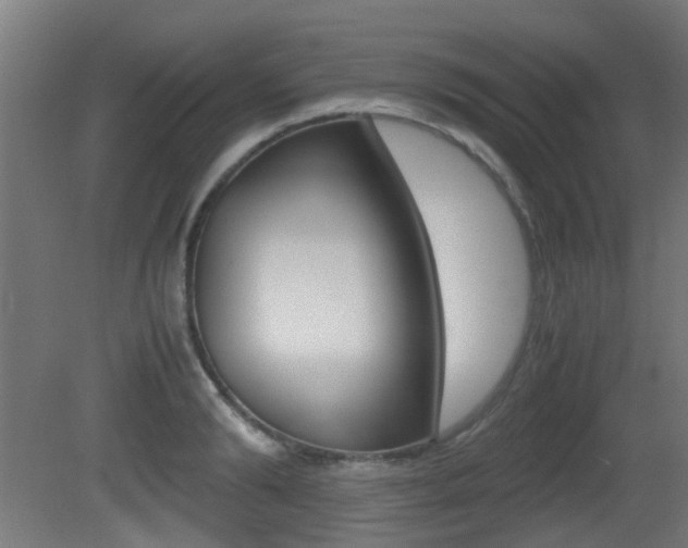 X0000081390894200701111204