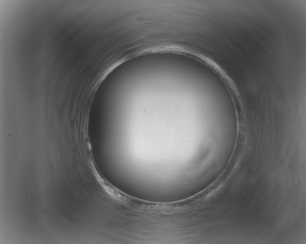 X0000081390905200701111203