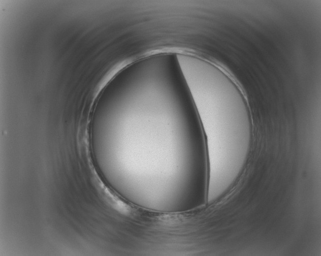 X0000081390906200701111203