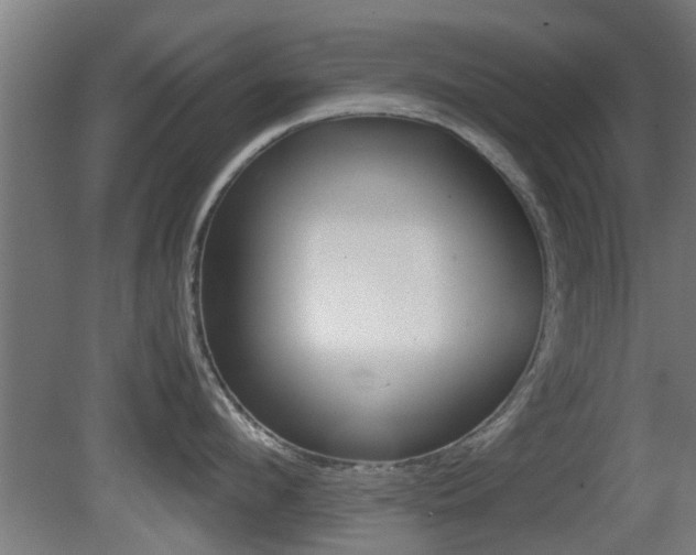 X0000081390912200701111203