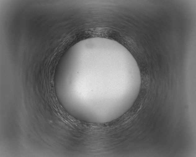 X0000081390913200701111202